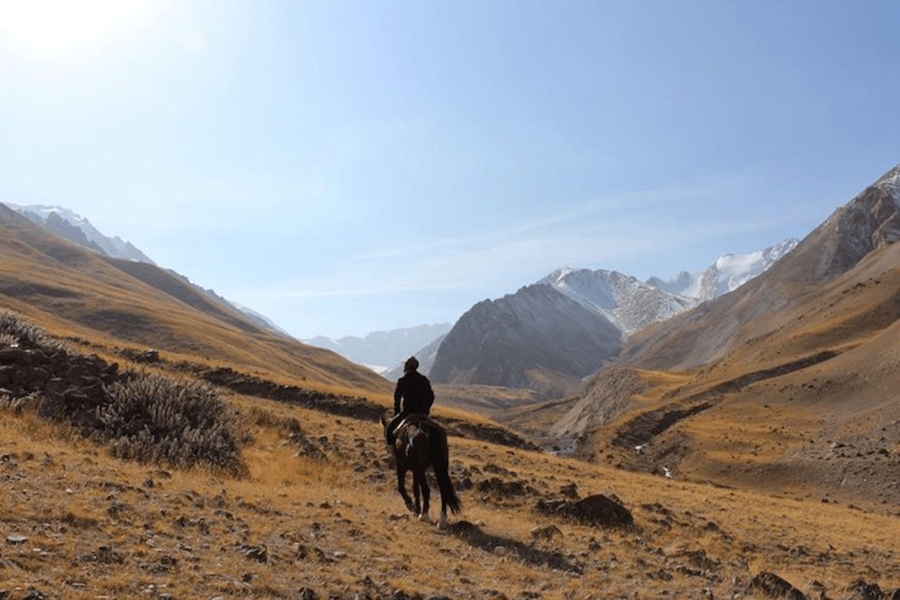 Adventures in Kyrgyzstan: Saving the Snow Leopard